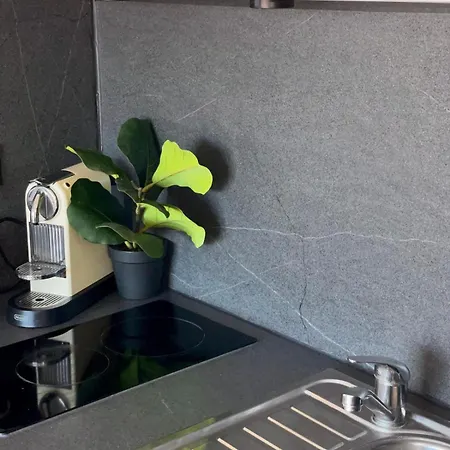 Apartment Avec Terrasse, Parking, Piscine Proche Et Centre A