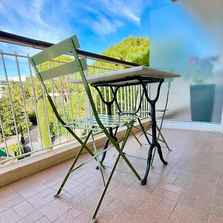 Avec Terrasse, Parking, Piscine Proche Et Centre A Cannes