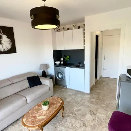 Avec Terrasse, Parking, Piscine Proche Et Centre A Apartment *